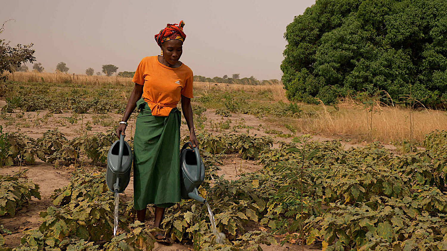 Eine Frau hat zwei Gießkannen in der Hand und gießt das Feld
