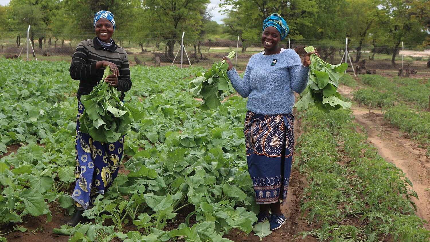 Zwie Frauen aus Simbabwe stehen auf einem grünen Acker und heben zufrieden ihre Ernte in die Luft