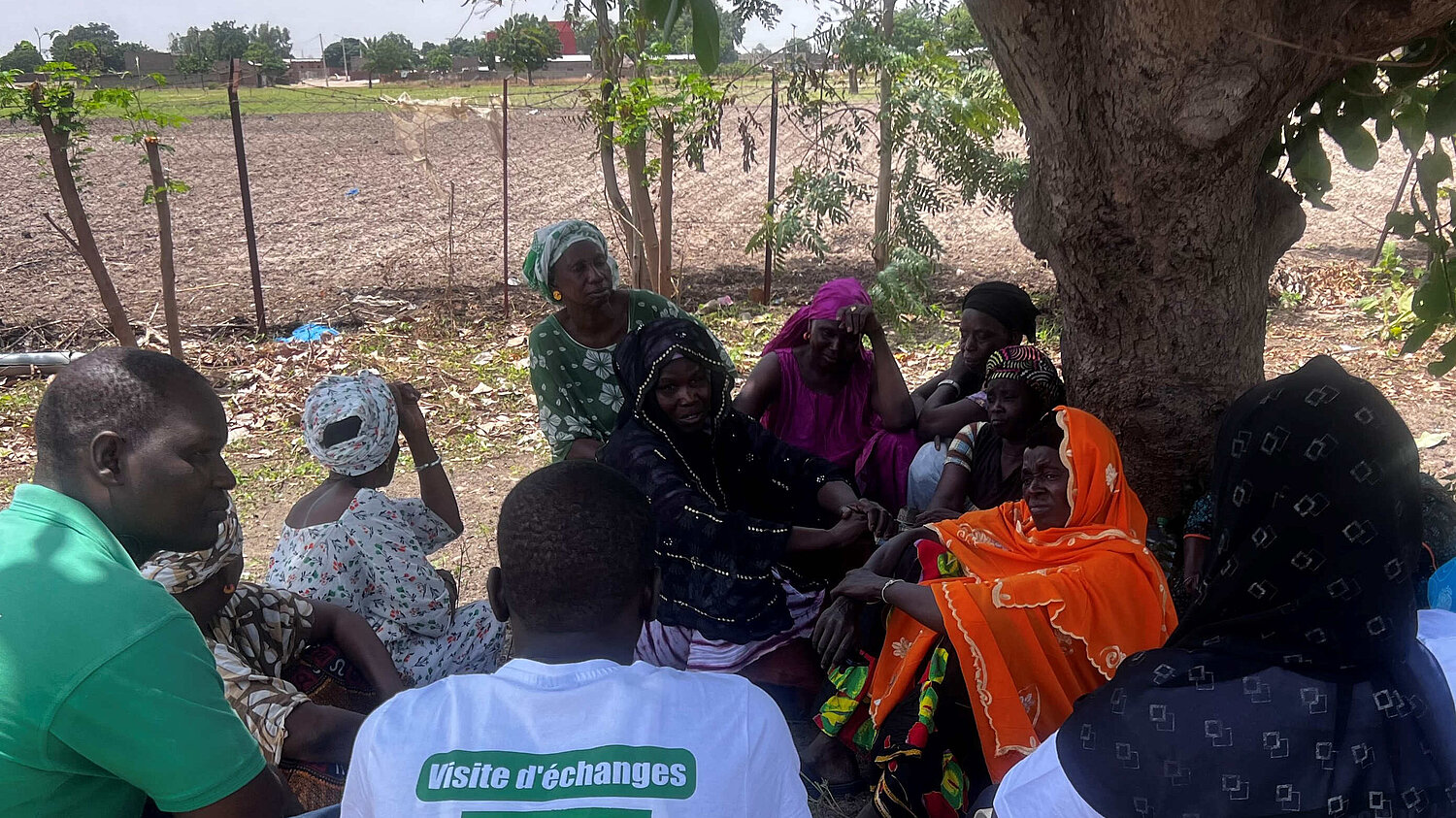 Eine Gruppe Menschen sitzt im Kreis vor einem Baum