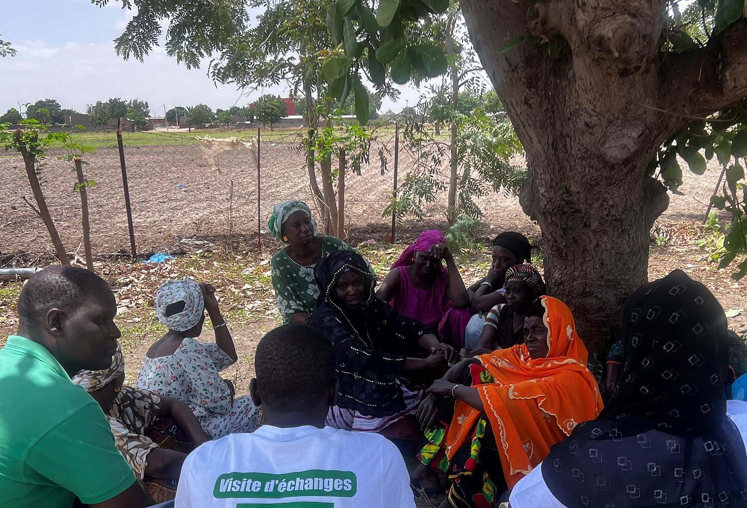 Eine Gruppe Personen sitzt im Kreis unter einem Baum