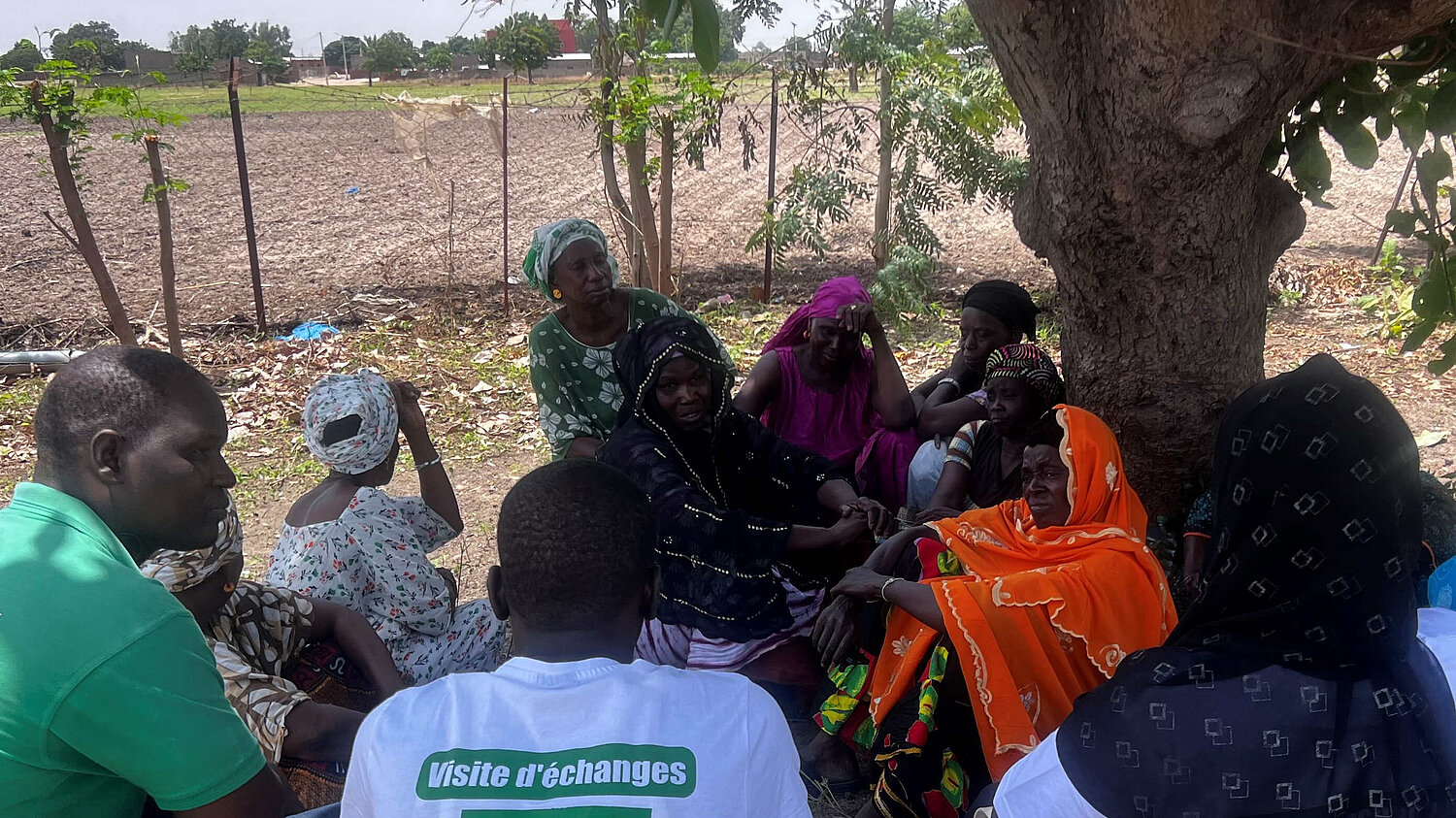 Gruppe von Personen sitzt im Kreis unter einem Baum