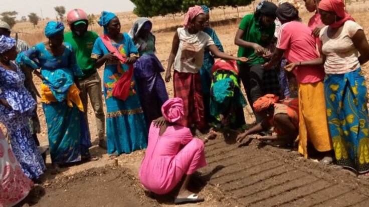 Eine Gruppe indischer Frauen steht im Kreis auf dem Feld