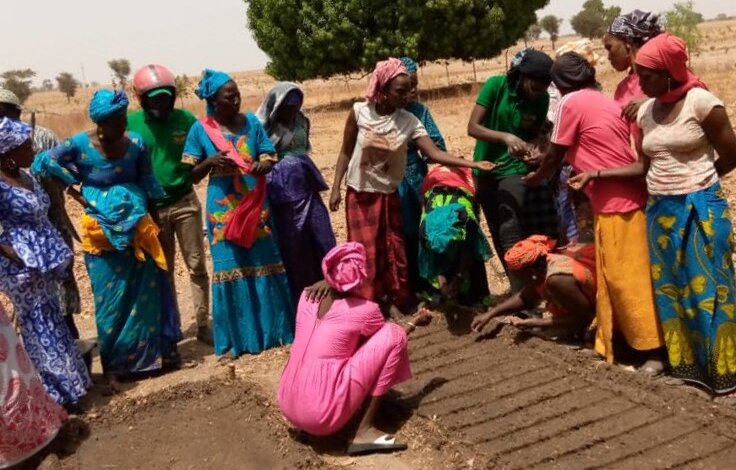 Eine Gruppe indischer Frauen auf dem Feld