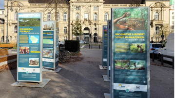 Man sieht eine Open-Air Ausstellung auf einem Platz