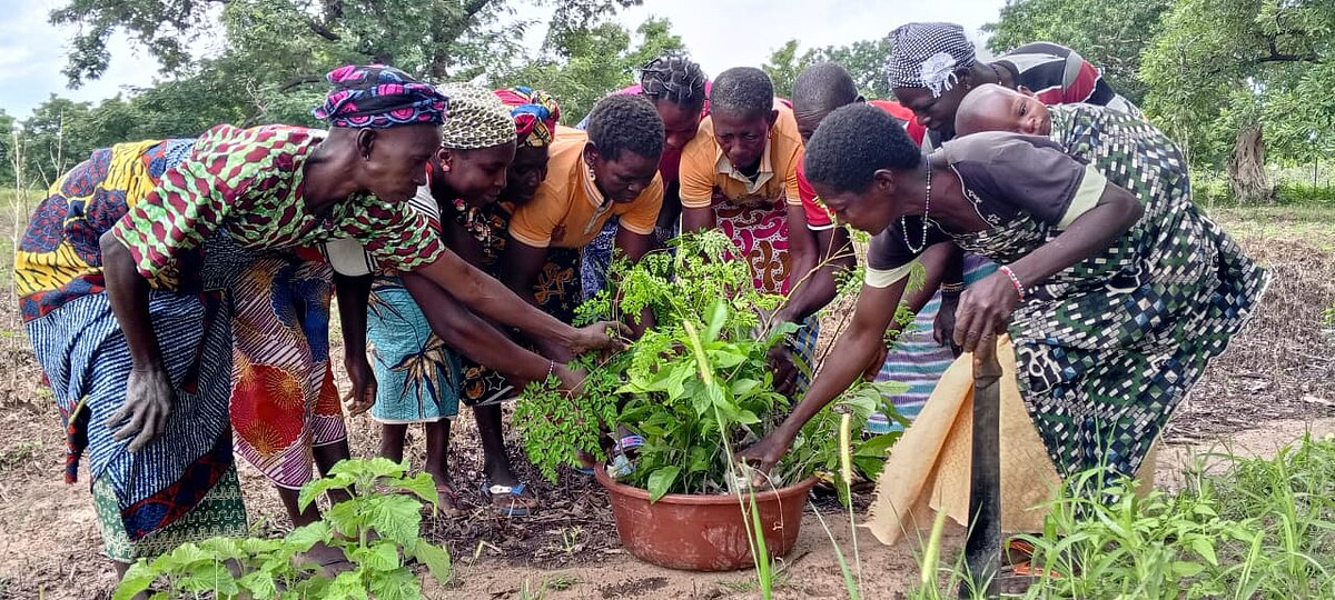 Eine Gruppe von Frauen aus Burkina Faso kreist um einen Topf und bepflanzt ihn gemeinsam