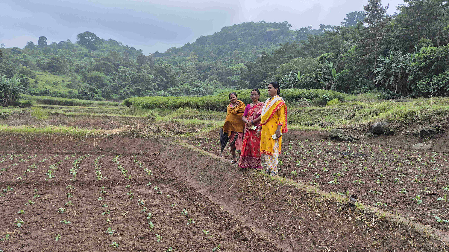 Drei indische Frauen Schauen auf ihren Acker