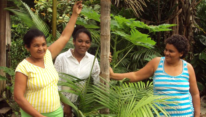 Brasilianerinnen zeigen einen Acai-Baum