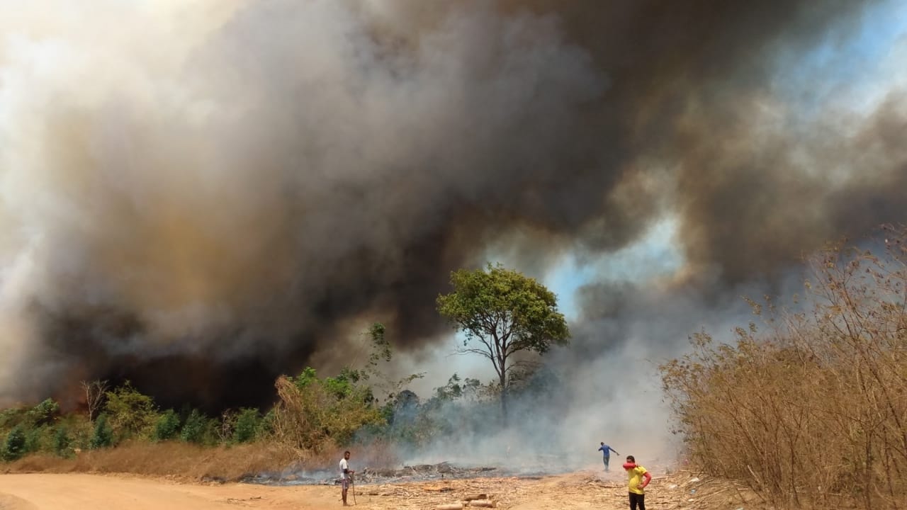 Waldbrand in Brasilien Cocalinho