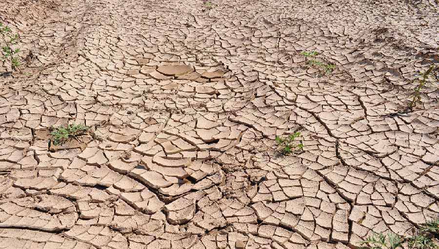 Dürre geschädigter Boden mit Rissen