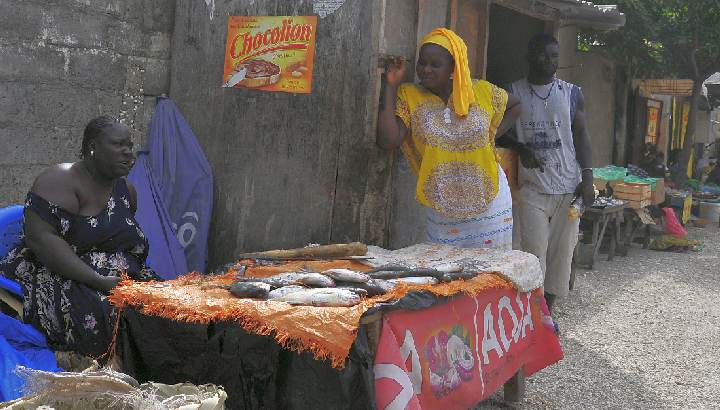 Frauen im Senegal verkaufen Fisch