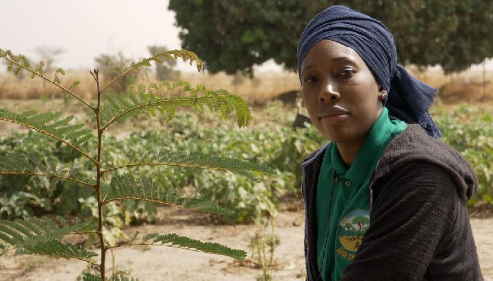 Fatou Dieng aus dem Senegal fördert Agroforstwirtschaft