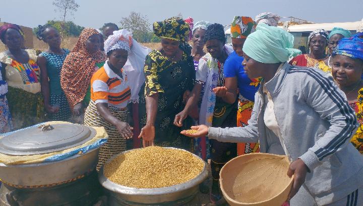 Frauen in Burkina tauschen sich über Saatgut aus