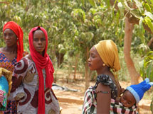 Aufforstung im Senegal: Neuer Mut in den Dörfern