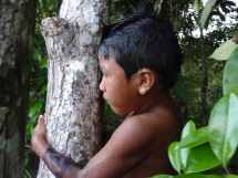 Indigene Gemeinschaften in Brasilien retten - mehr Unterschriften für unseren Appell
