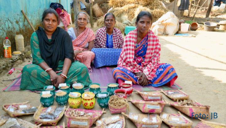 3 indische Frauen sitzen vor verschiedenem Saatgut