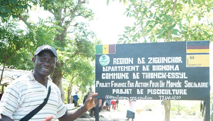 ASANE-Mitarbeiter zeigt das Mangrovenprojekt bei Ziguinchor, Casamance
