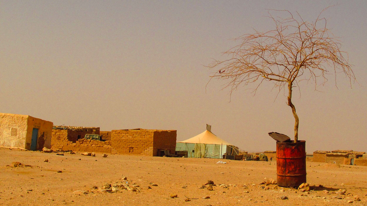 Blick auf ein Flüchtlingslager in der Wüste mit Lehmbauten und einem vertrockneten Baum