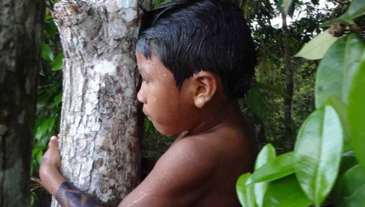 Kind in Amazonien umarmt Baum