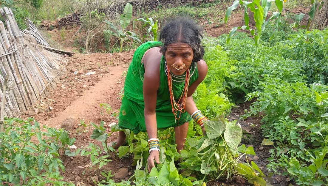 Adivasi-Frau in einem Dorf in Odisha