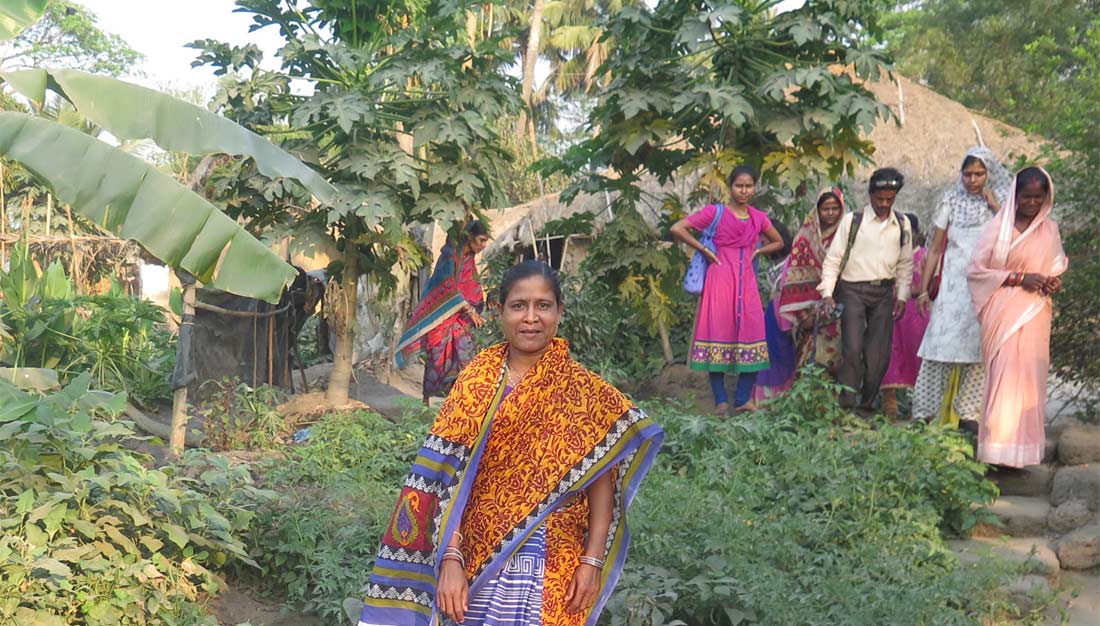 Küchengarten einer Frauengruppe in Odisha