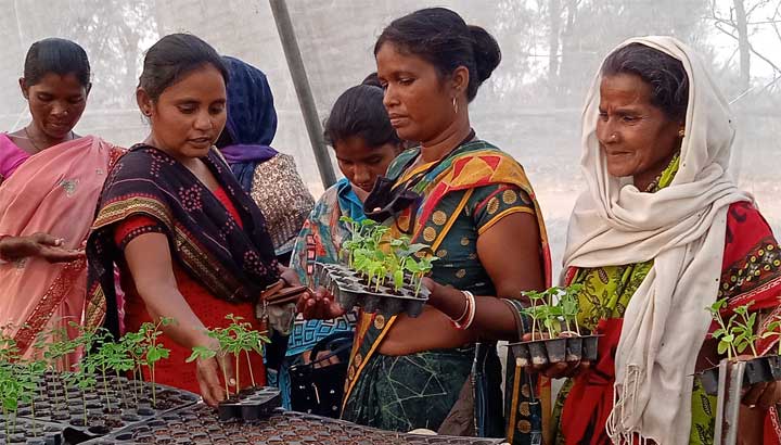 Frauen in Küchengarten in Indien