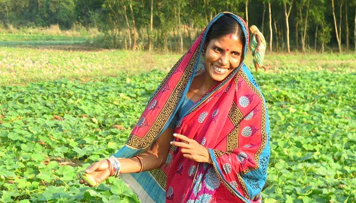 Bäuerin in Südindien auf Gemüsefeld