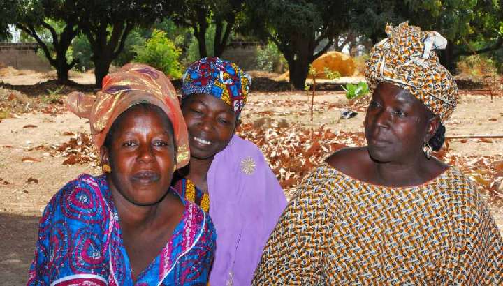 Bäuerinnen im Süden des Senegal