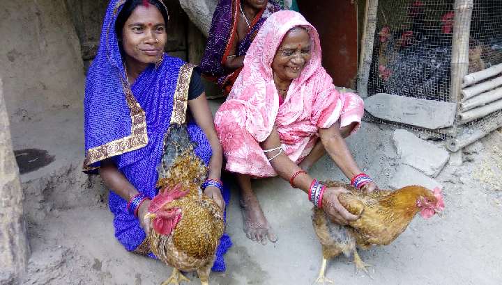 Indische Adivasi-Frauen mit ihren Hühnern