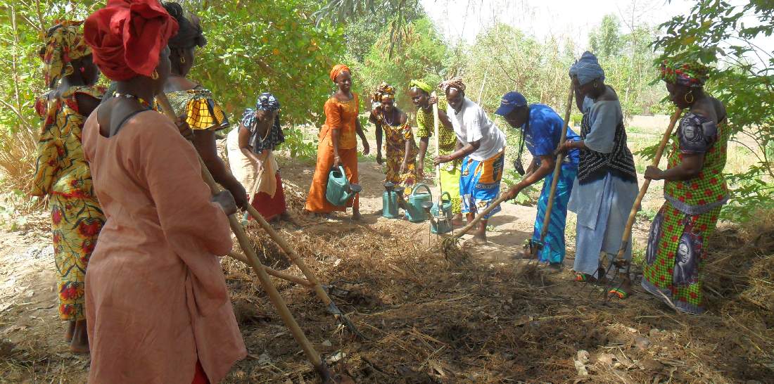 Workshop für Bäuerinnen im Süden des Senegal
