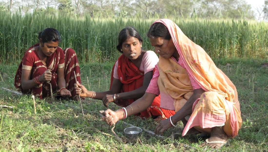 Kleinbäuerinnen in Andhra Pradesh